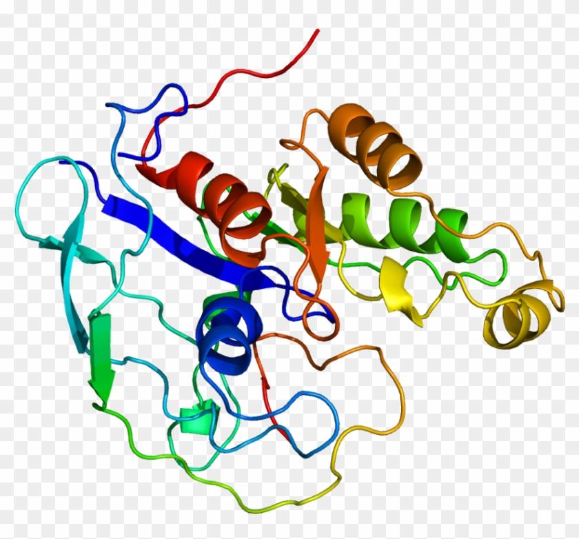 Clip Art - Png Download