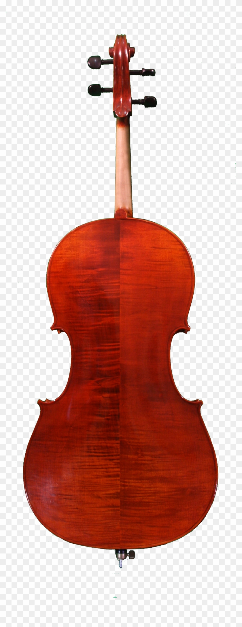 H Luger C600s Back - David Burgess Viola Clipart