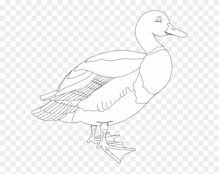 Duck Clipart #4525664