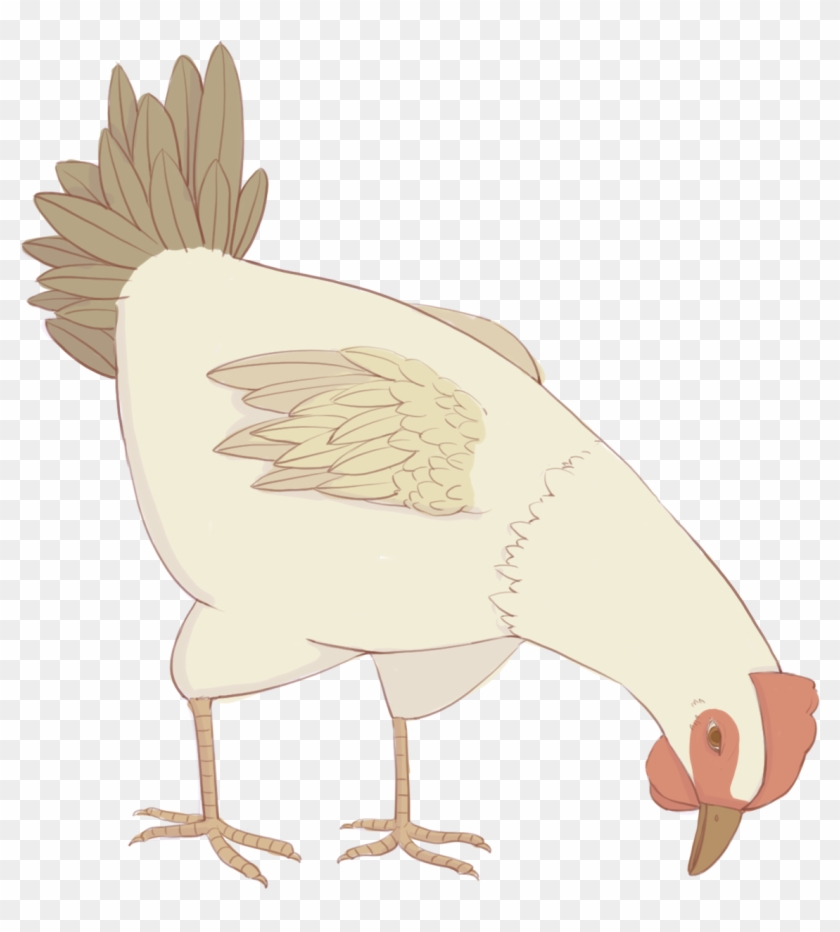 Dibujados A Mano Animal Criatura Gallina Png Y Psd - Portable Network Graphics Clipart