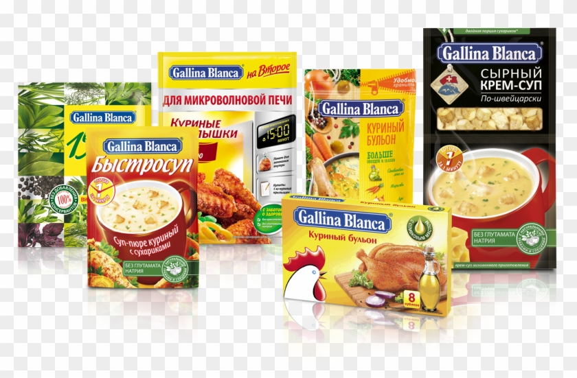 Gallina Blanca Clipart