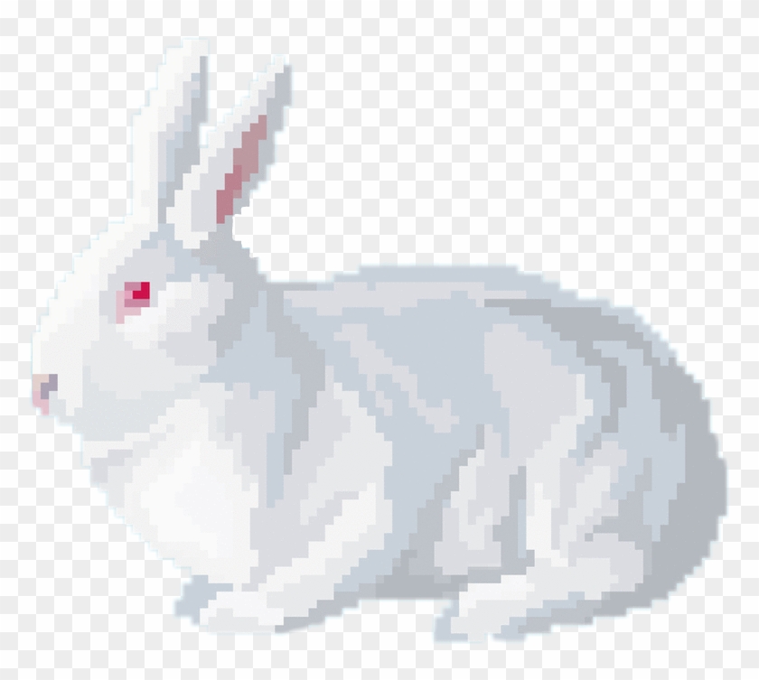 Rabit Sticker - Domestic Rabbit Clipart #4529484