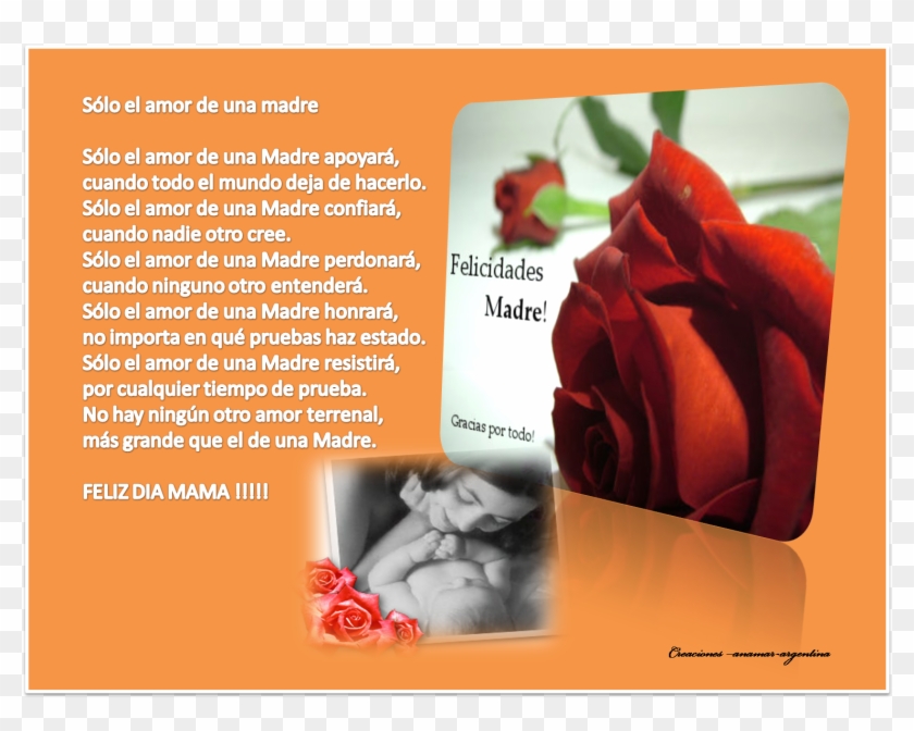Solo El Amor De Una Madre Creaciones Anamar Argentina - Mama Clipart  (#4530404) - PikPng