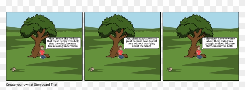 Pecan Trees - Grass Clipart #4531005