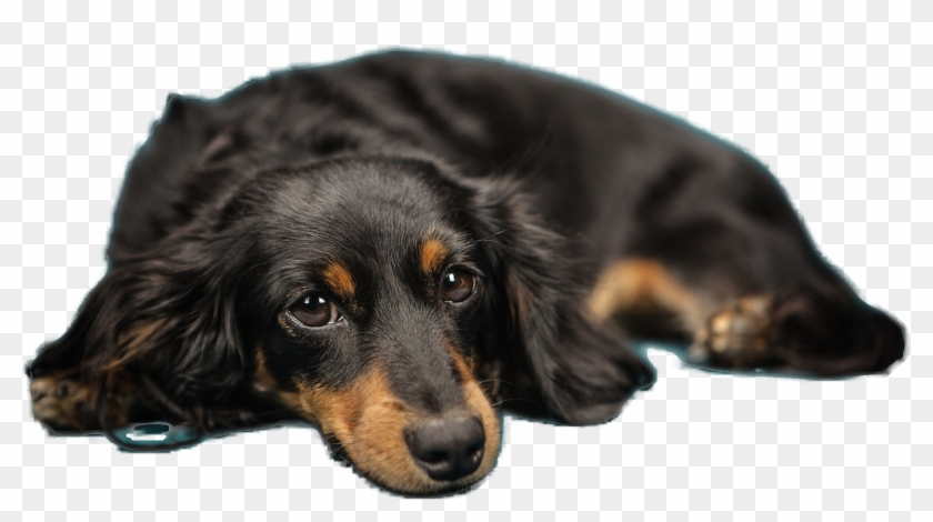 Original Image To Upload Uploaded Image With Background Clipart