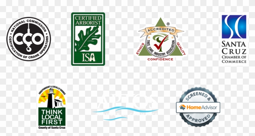 Tree Care Business Delivering Reliable, Quality Tree Clipart #4531452