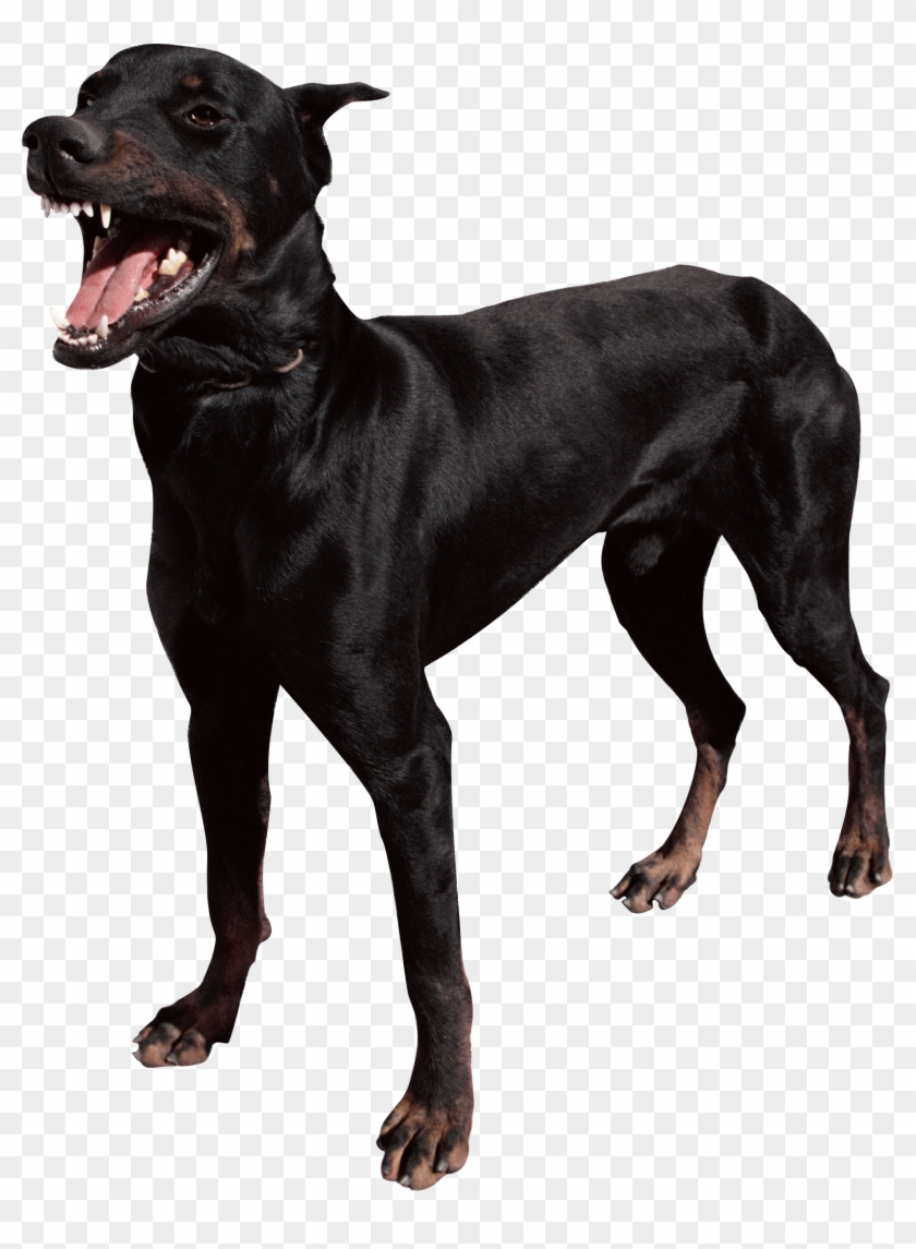 Dog Png - Beware Of Dog Sign Doberman Clipart