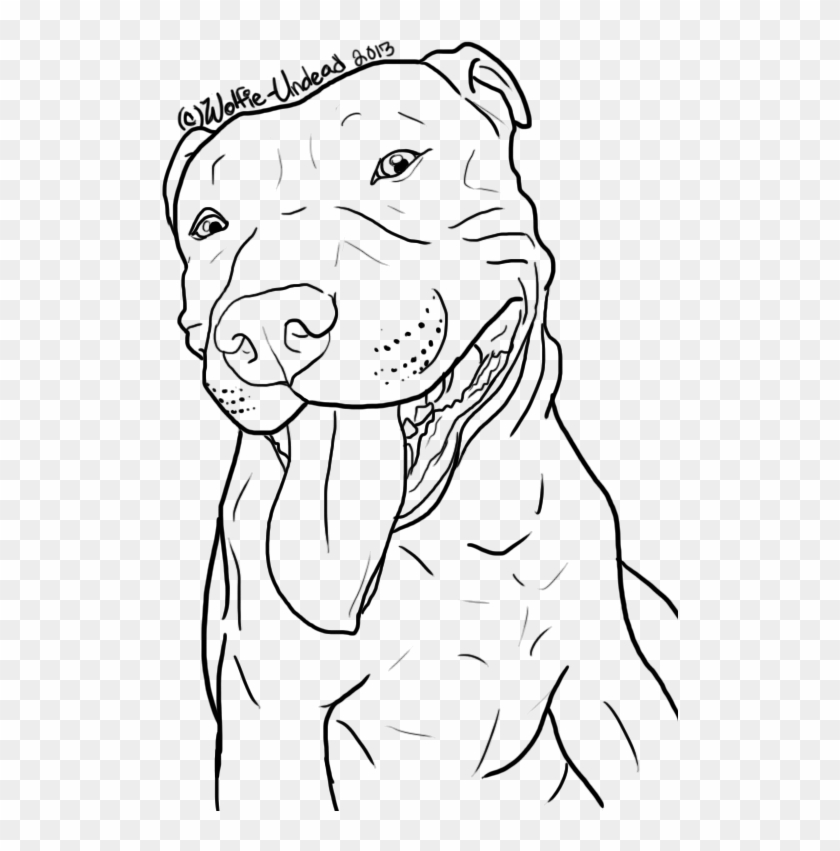 Free To Use Pit Bull Lineart Please - Desenhos Para Colorir De Pitbull Clipart