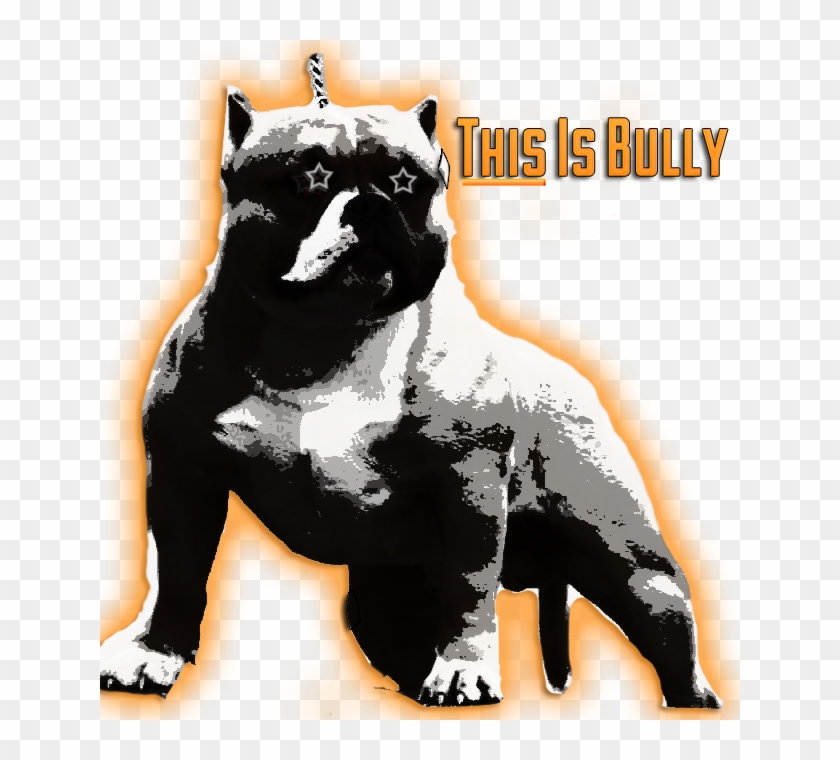 Pitbull Found Dead With 5 Bullet Holes And Her Head - Staffordshire Bull Terrier Clipart