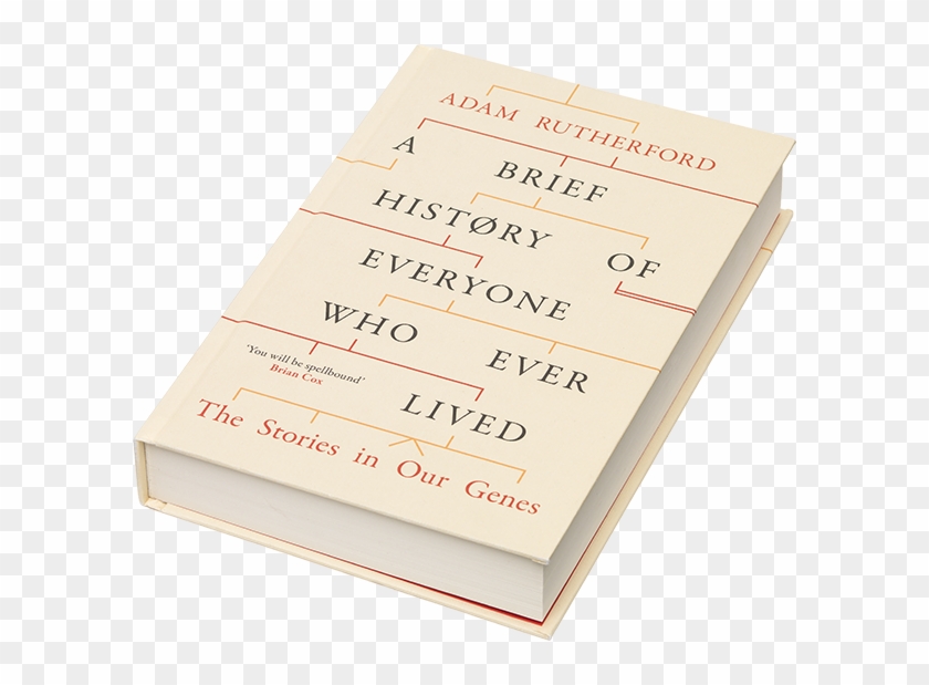 A Brief History Of Everyone Who Ever Lived - Paper Clipart #4535581