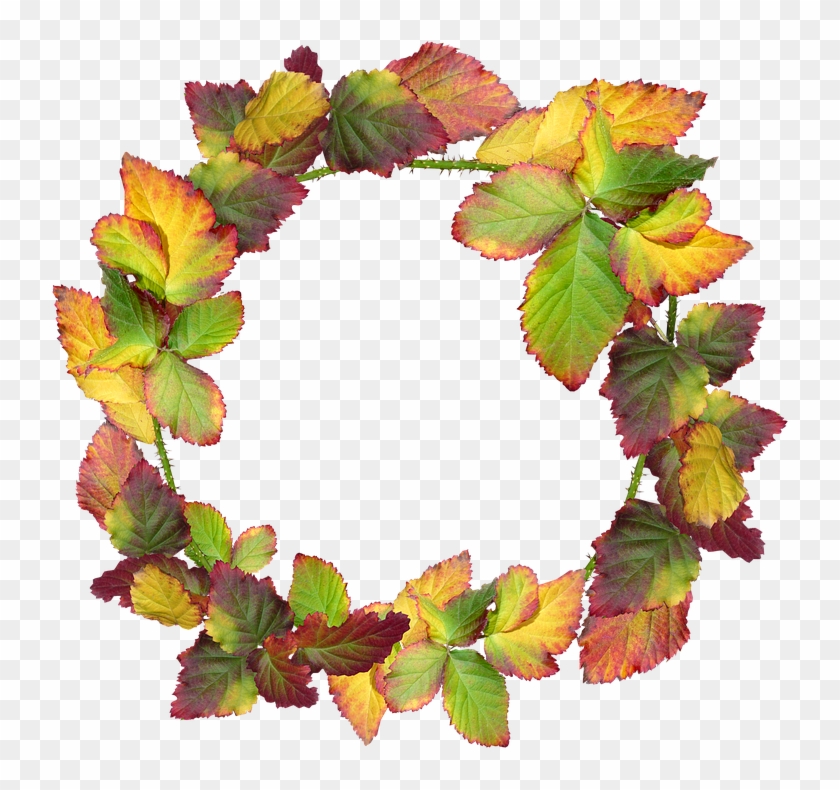 Wreath, Leaves, Autumn, Fall, Nature, Garden, Frame - Corona De Hojas Otoño Png Clipart #4535685