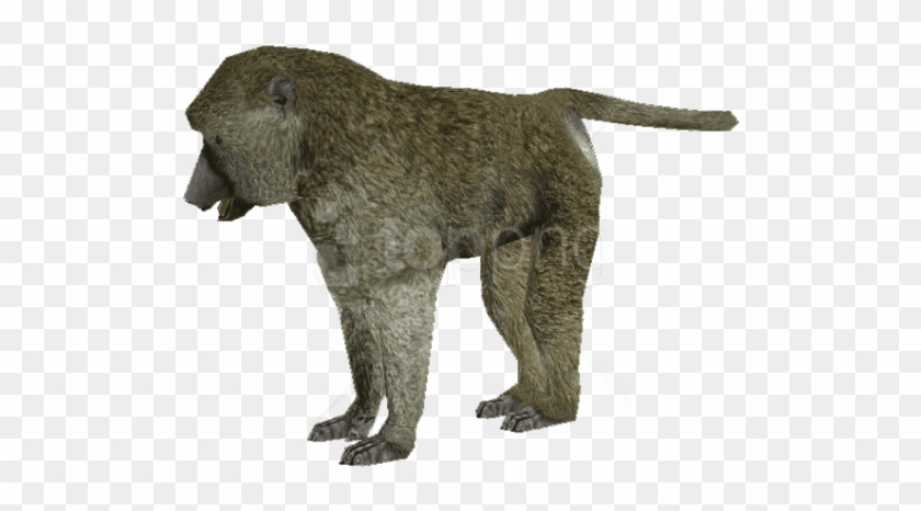 Free Png Download Baboon Png Images Background Png - Baboon Clipart #4535882
