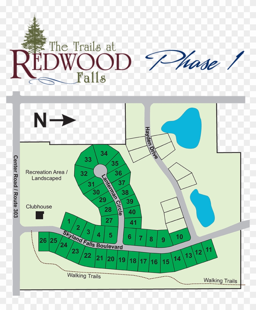 Redwood Phase I Horizontal Rev - Flower Shop Clipart #4536678