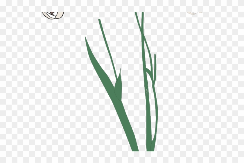 Related Posts - Grass Clipart #4536879