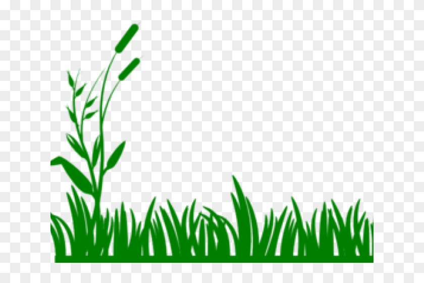 Lawn Clipart Banner - Grass Border Clipart - Png Download #4536923