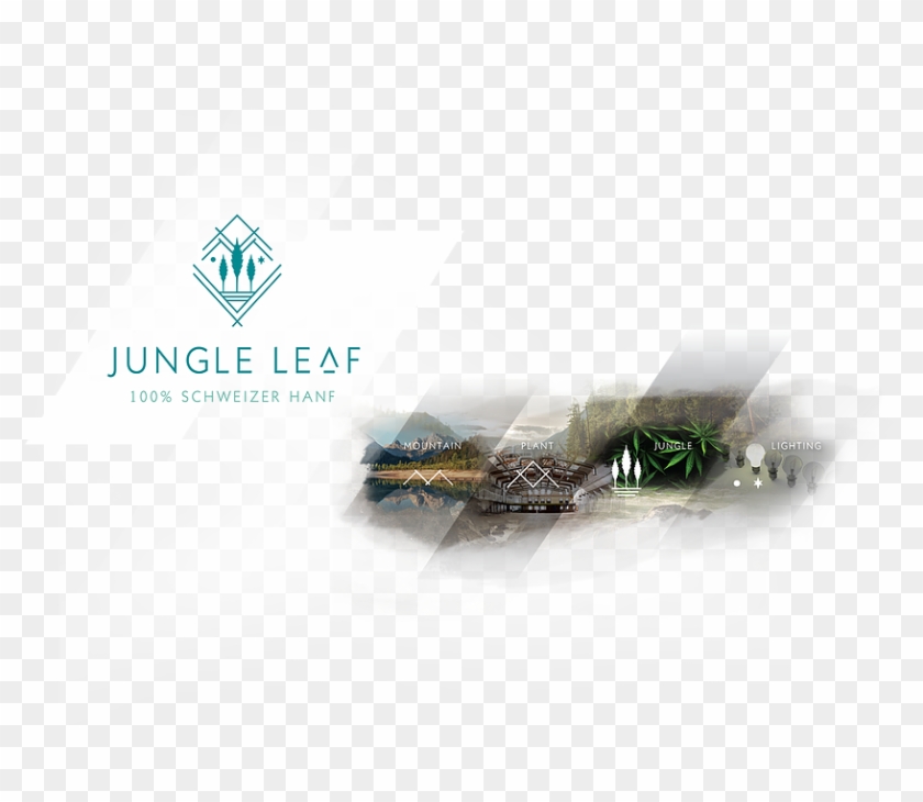 Jungle Leaf - Graphic Design Clipart #4538398