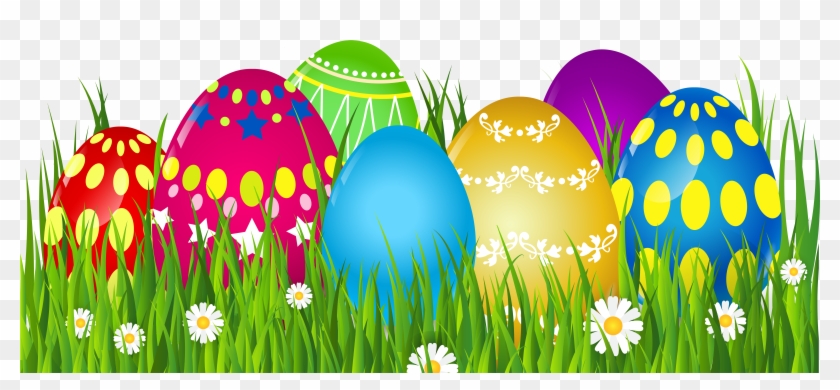 African Daisy Clipart #4538543