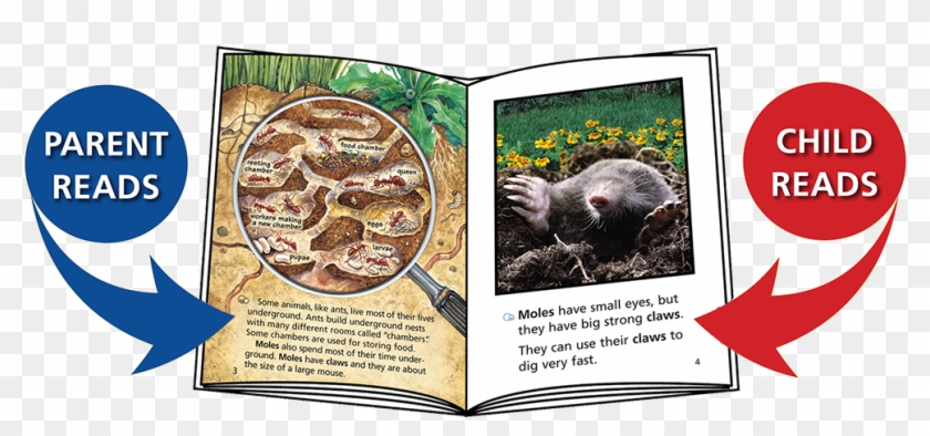 Scroll Over Image - Book Clipart