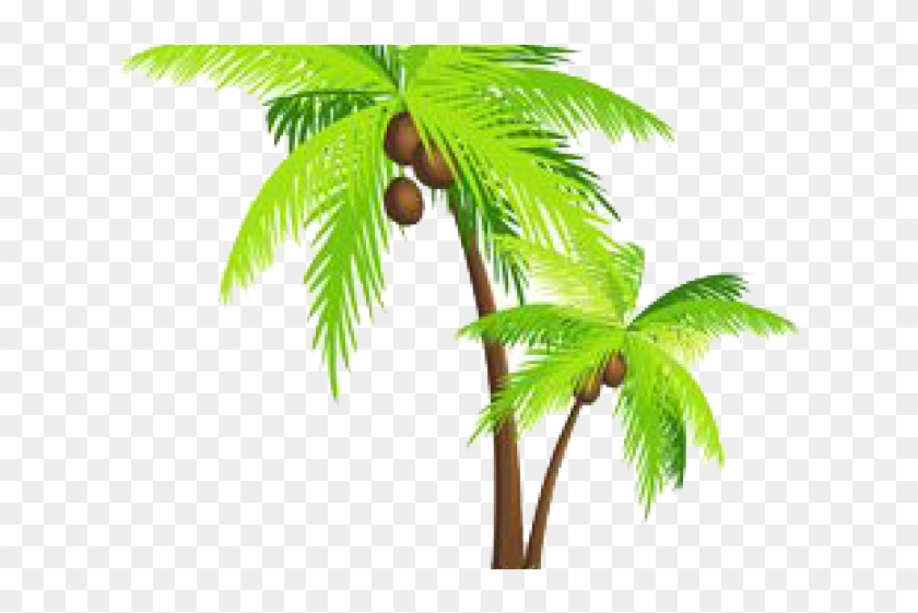 Palm Tree Png Transparent Images - Sea And Coconut Tree Vector Clipart #4539269