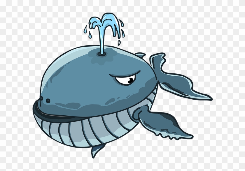 Attention Steemit Whales Baby Whale Dreaming Of A Trending - Drink Like A Fish Clipart