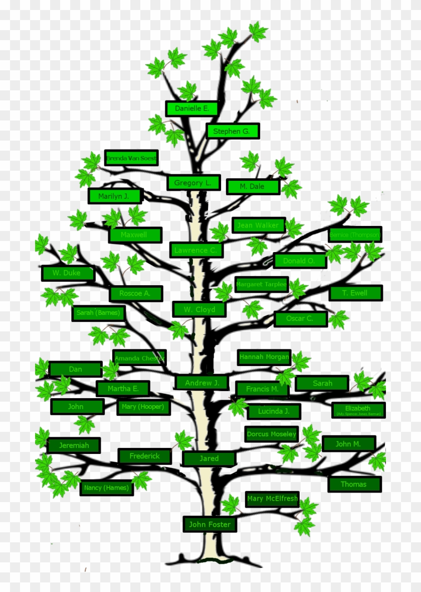 Clip Art Free Stock Name Clipart Family Tree - Tree With No Leaves - Png Download #4540362