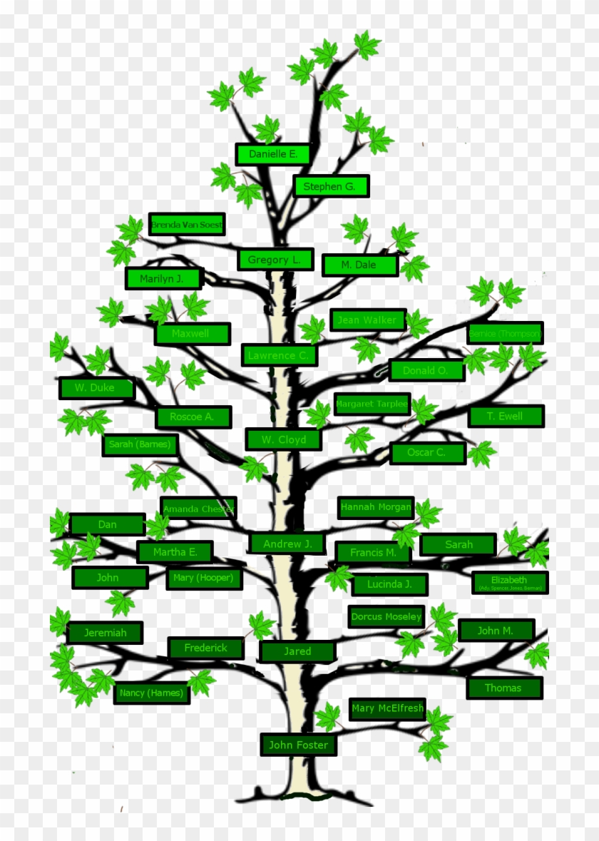 Clip Art Free Stock Name Clipart Family Tree - Tree With No Leaves - Png Download
