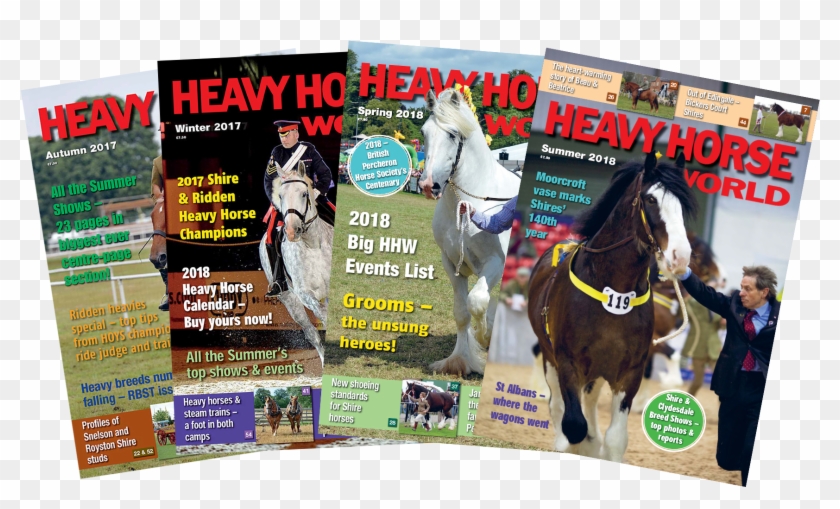 Magazine-covers - Flyer Clipart #4541072