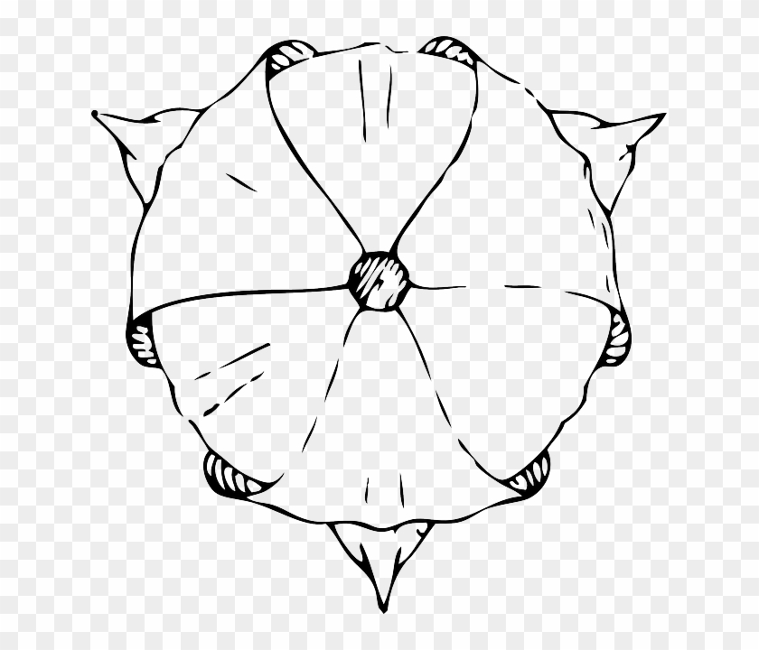 Black, Top, View, Outline, Plants, Tulips, Flower - Tulips Drawing Top View Clipart #4541230