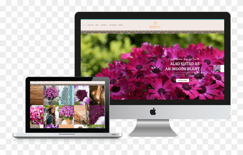 Brand Websites - Television Set Clipart #4541739