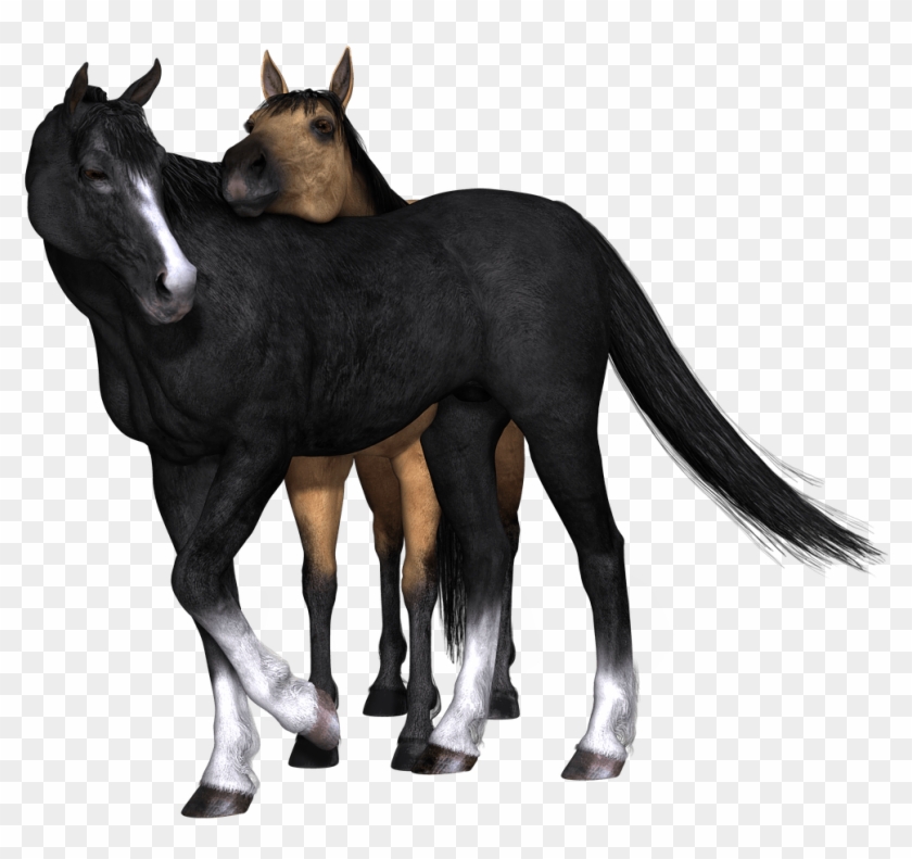 Horses Black Horse Looking Back - Breyer Horse Strapless Hunter Clipart #4542473