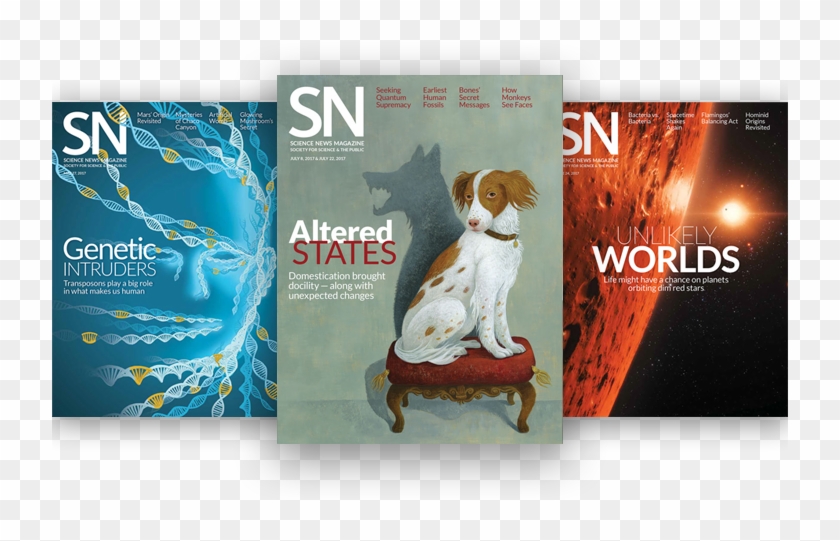 Science News Magazine Covers - Flyer Clipart