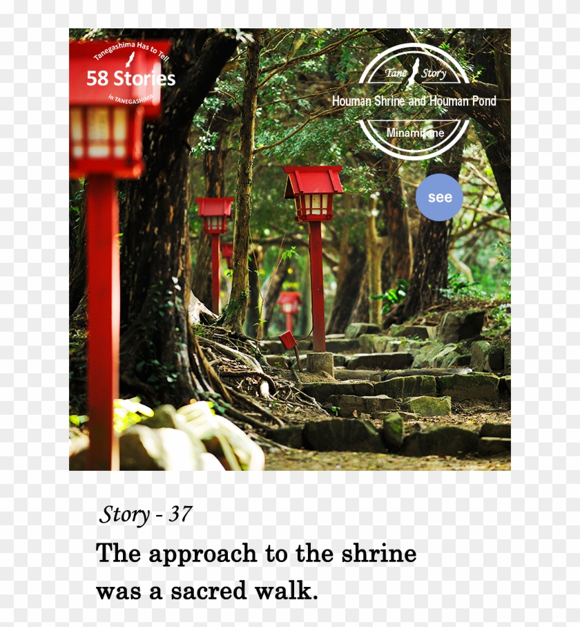 Story-37 The Approach To The Shrine Was A Sacred Walk - God Prayers Clipart #4544454