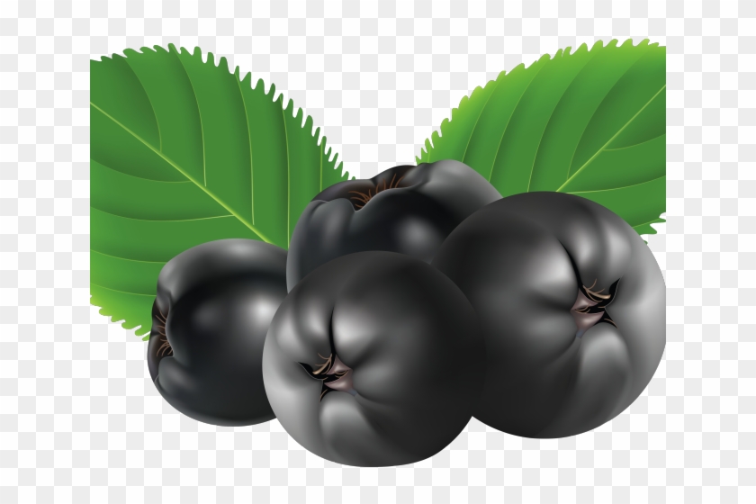 Berries Clipart Blueberry - Chokeberry Illustration - Png Download