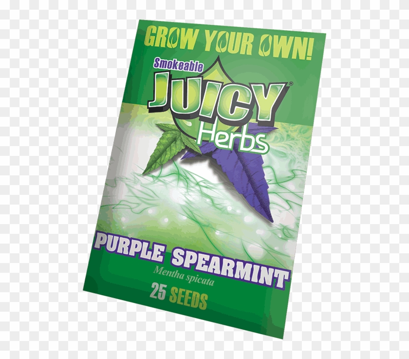 Purple-spearmint - Flyer Clipart