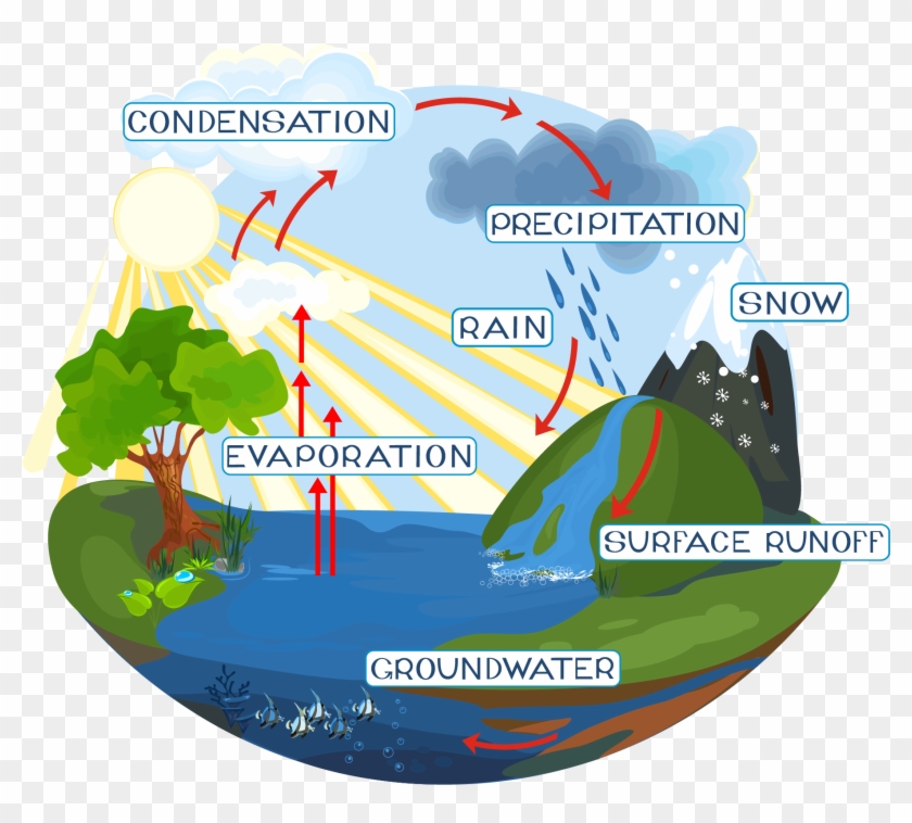 All Laboratory Water Is Initially Sourced From A Potable - Hard Water Cycle Drawing Clipart #4545807