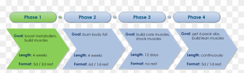 Increasing Metabolism And Building Muscles - Six Pack Shortcuts Phase 4 Day 1 Clipart