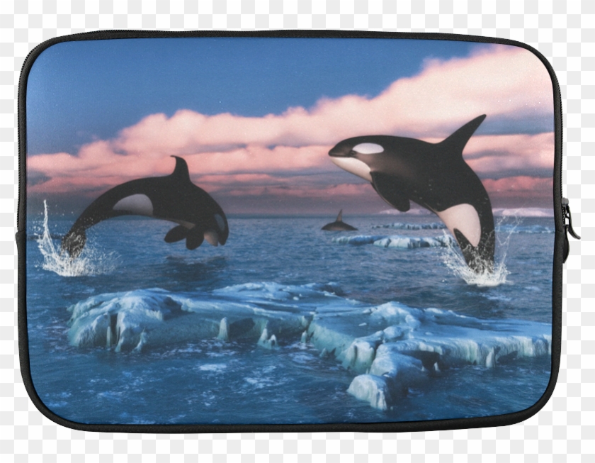 Killer Whales In The Arctic Ocean Custom Sleeve For Clipart #4547367