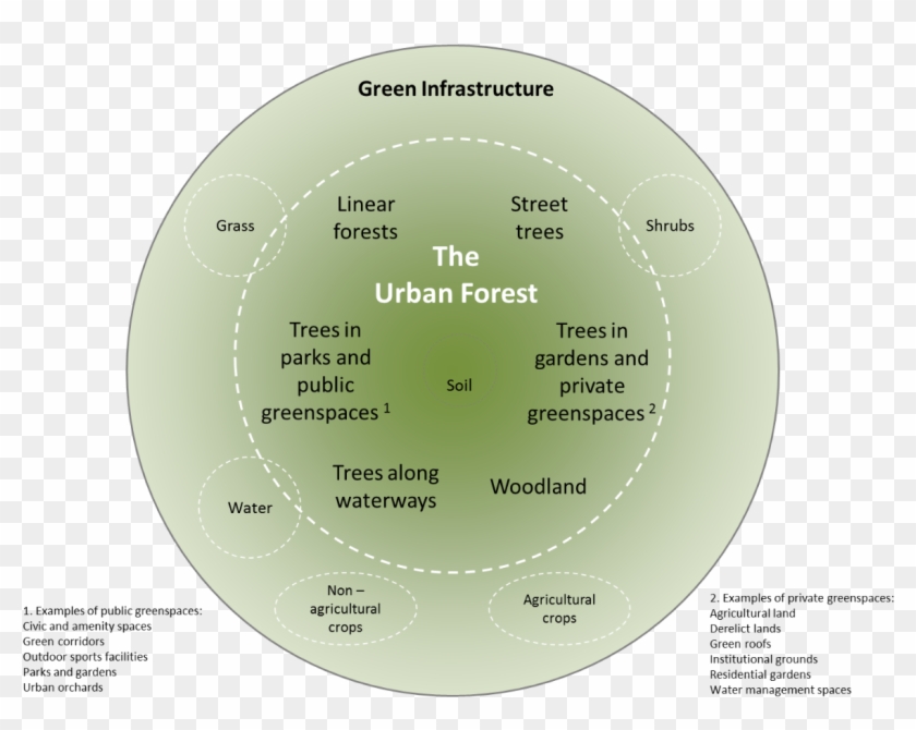 Urban Forest - Forests And Green Infrastructure Clipart #4549536