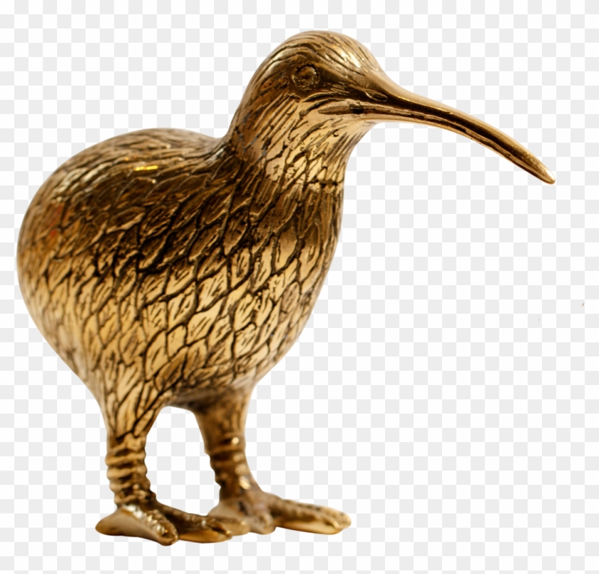 More Views - Kiwi Clipart