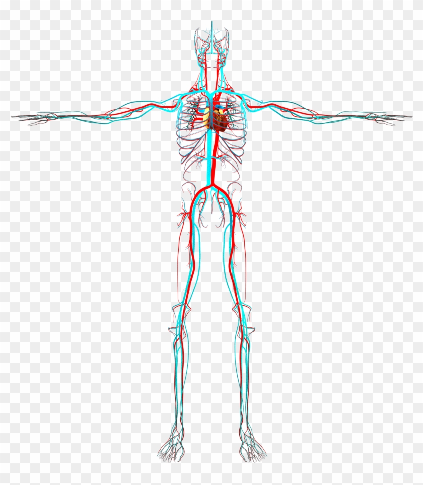 Subscribe Alpha Tauri - Circulatory System No Background Clipart
