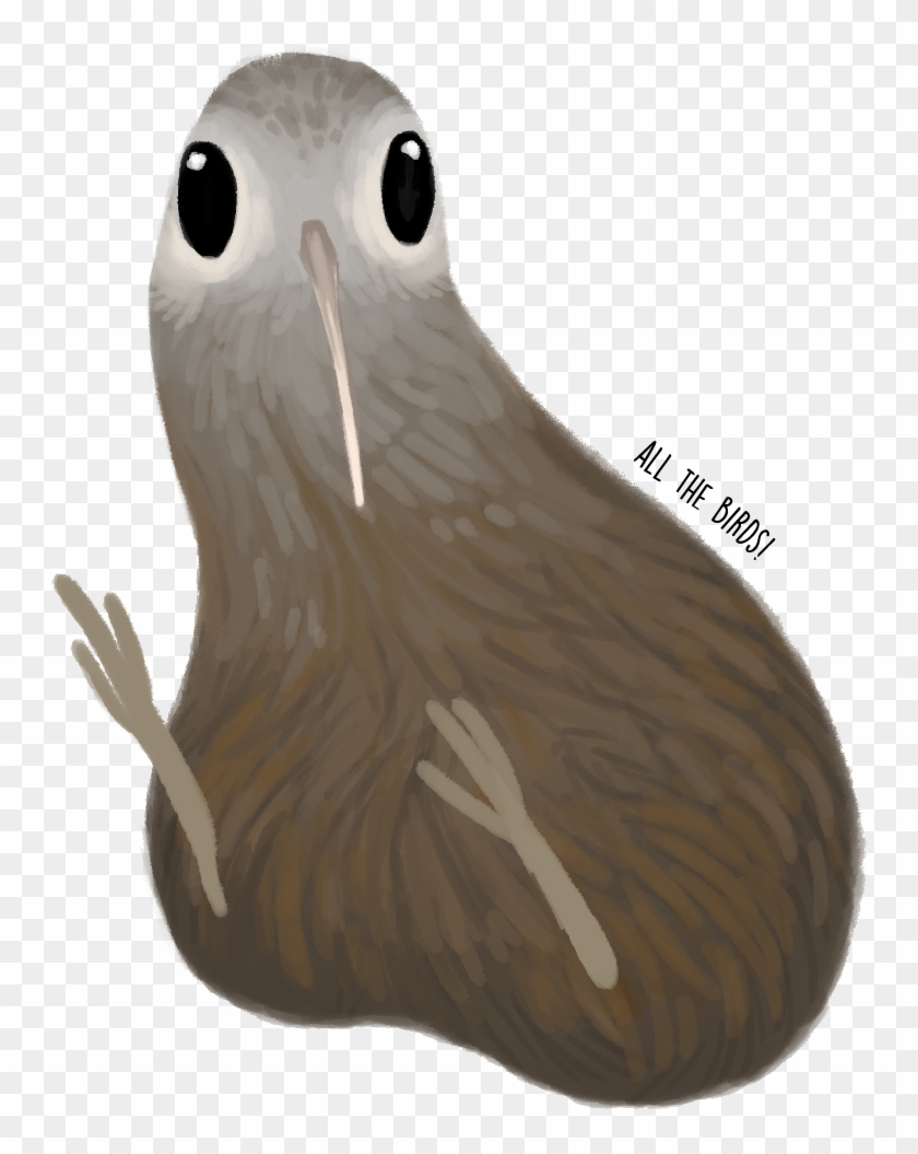 Okarito Kiwi Apteryx Rowi - Marine Invertebrates Clipart #4551119