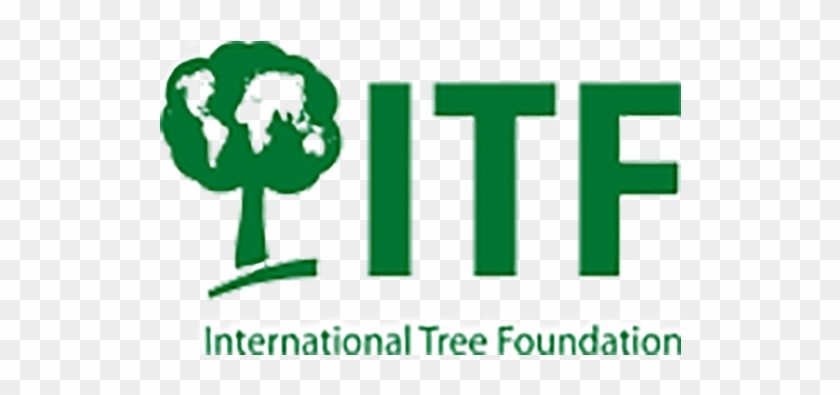 Are You Interested In Partnering With Us We'd Love - International Tree Foundation Clipart #4552846