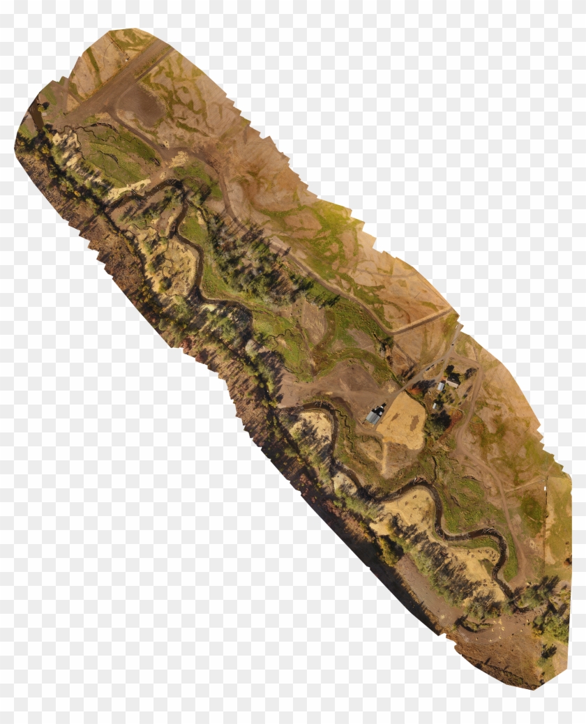 Project Status - Clipart