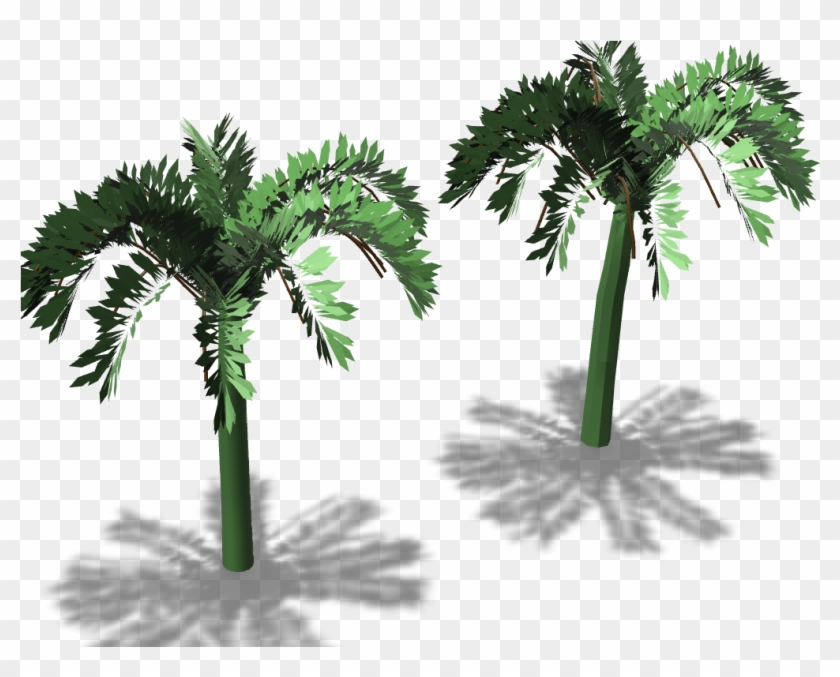 Palm Trees - Borassus Flabellifer Clipart