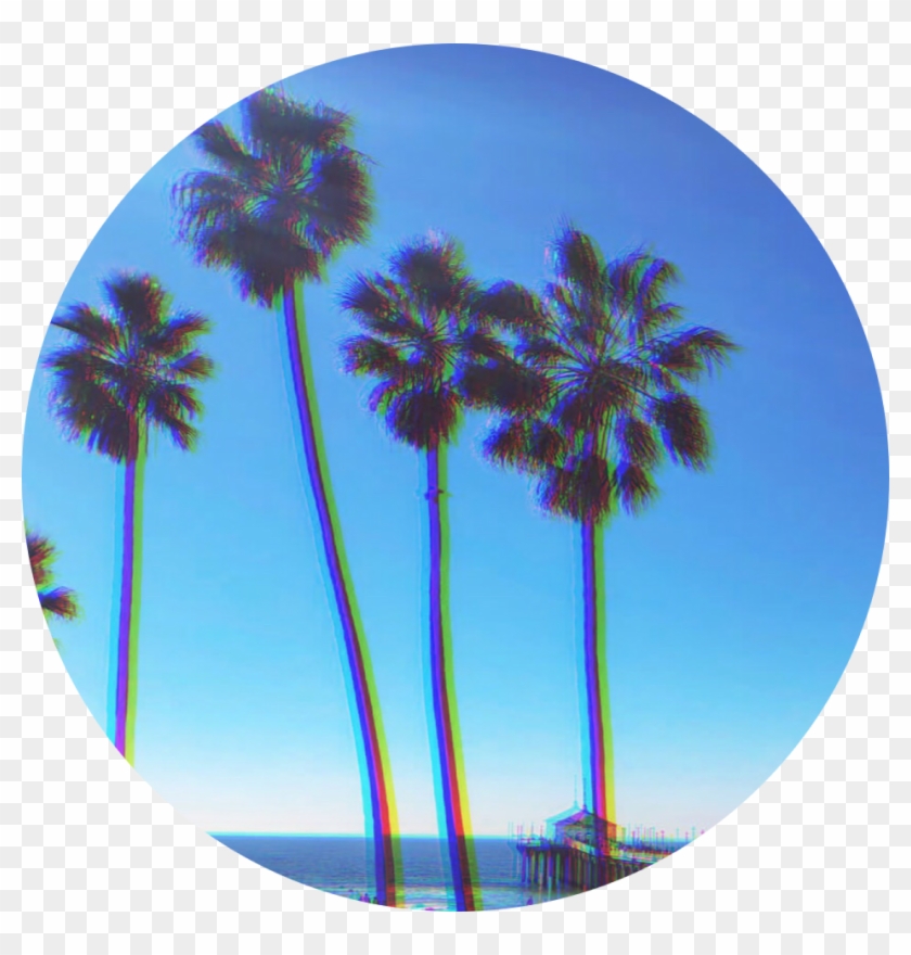 Palmtree Background - Desert Palm Clipart #4553615