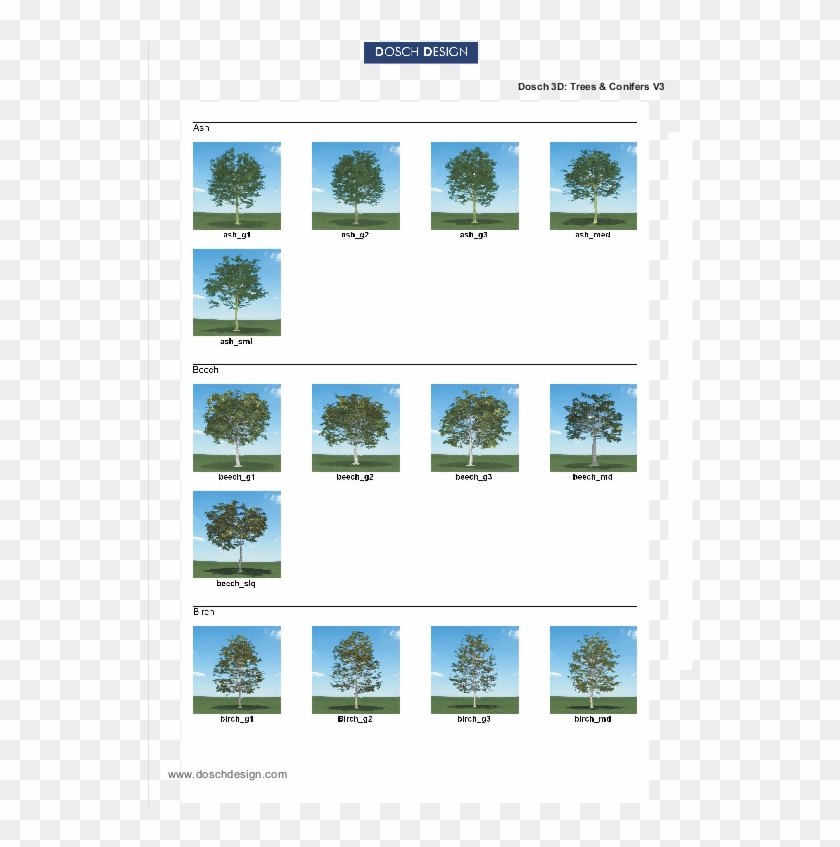 Attractive Quantity Discounts Up To 20% Are Displayed - Tree Clipart #4553646