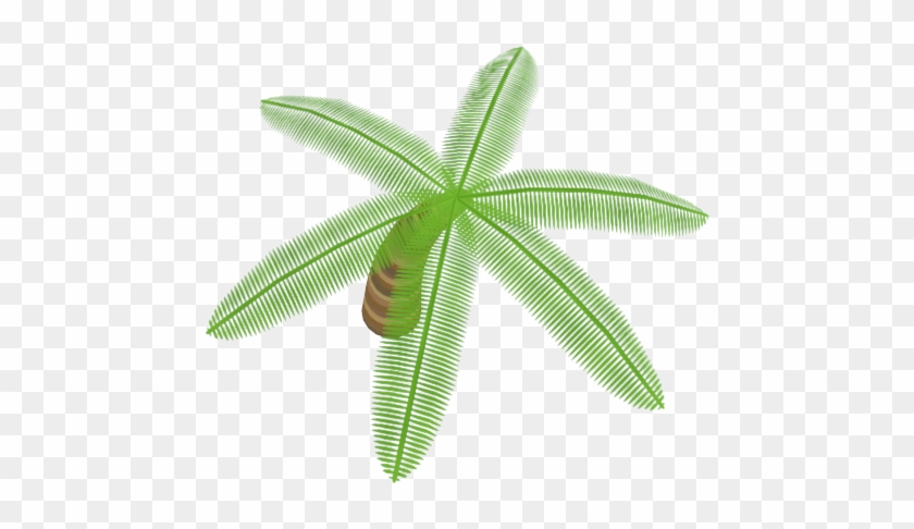 3 4 - Coconut Clipart #4553667