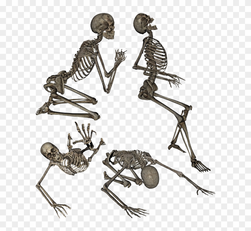 Skeleton Human Anatomy Kneeling Praying Crawling - Skelett Kneeling Pose Png Clipart #4553799