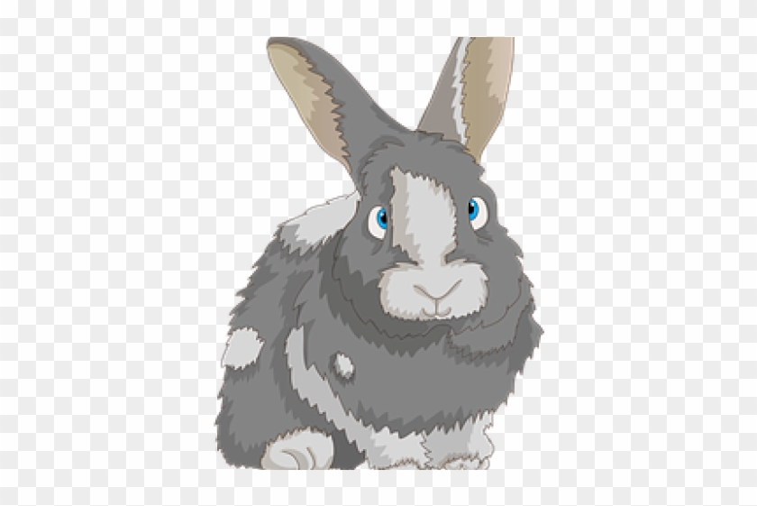 Domestic Rabbit Clipart #4555561