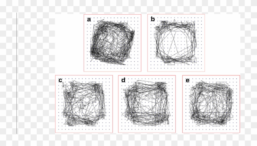 Fencing Drawing Movement - Sketch Clipart
